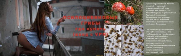 не бодяженный Алексин